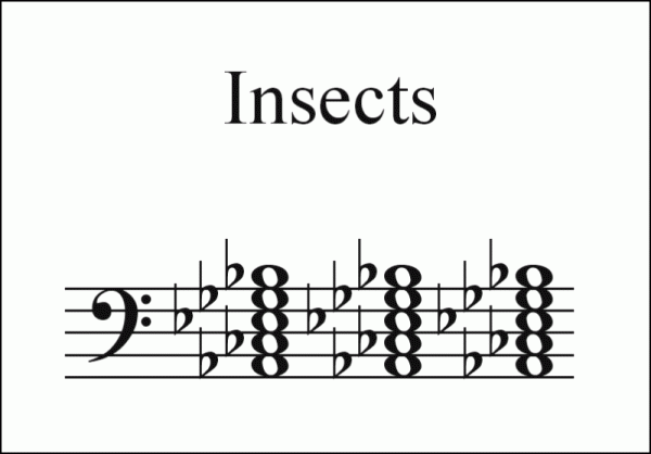 insects