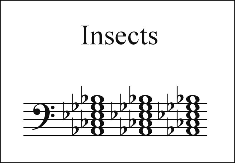 insects